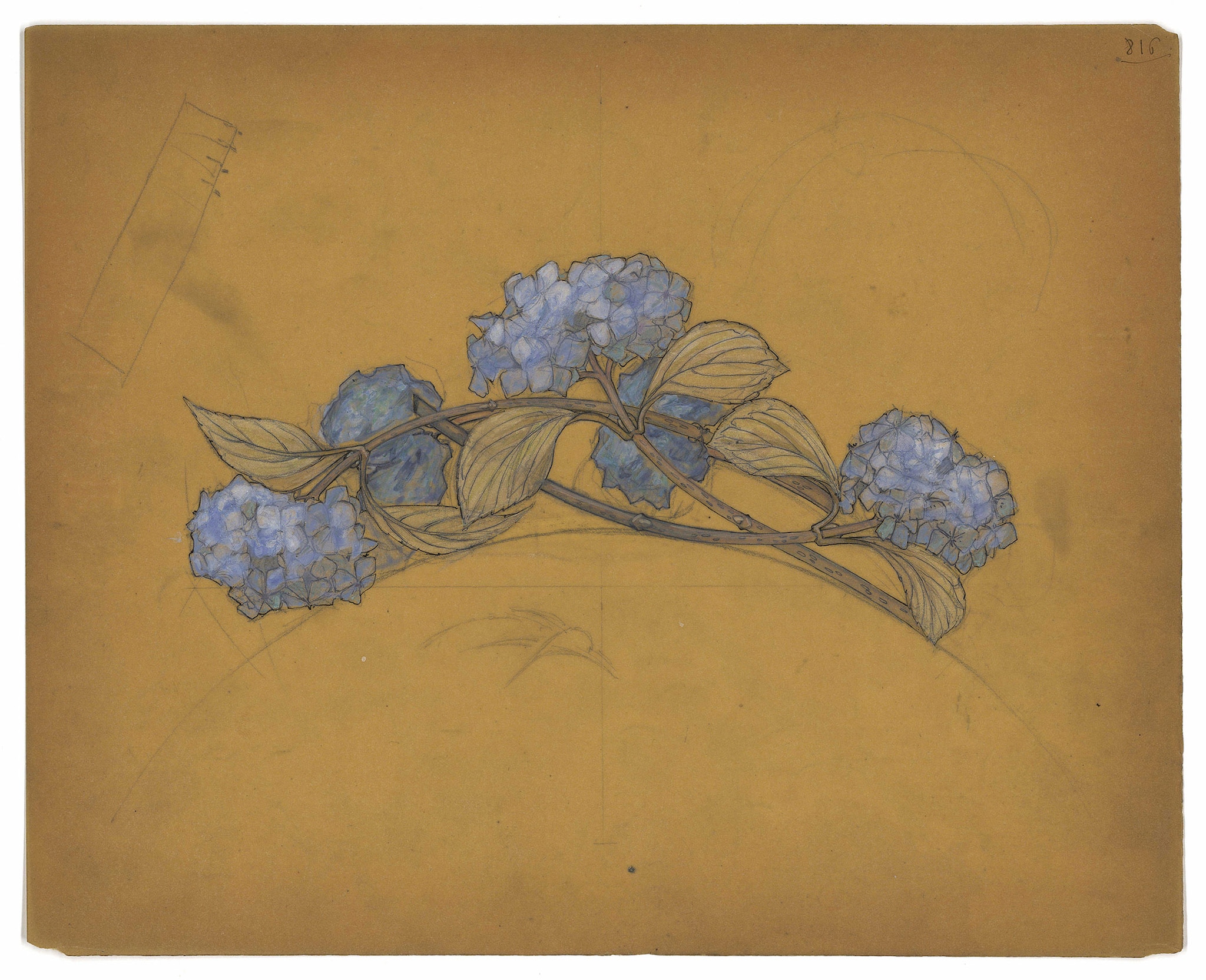René Lalique (1860-1945) Dessin de diadème « Hortensias » René Lalique (1860-1945) Dessin de diadème « Hortensias »