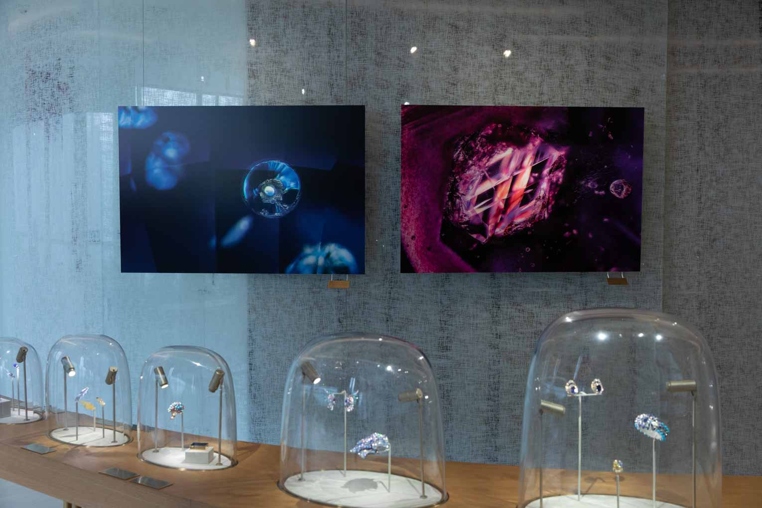 Exhibition Ruby&Sapphire (4)