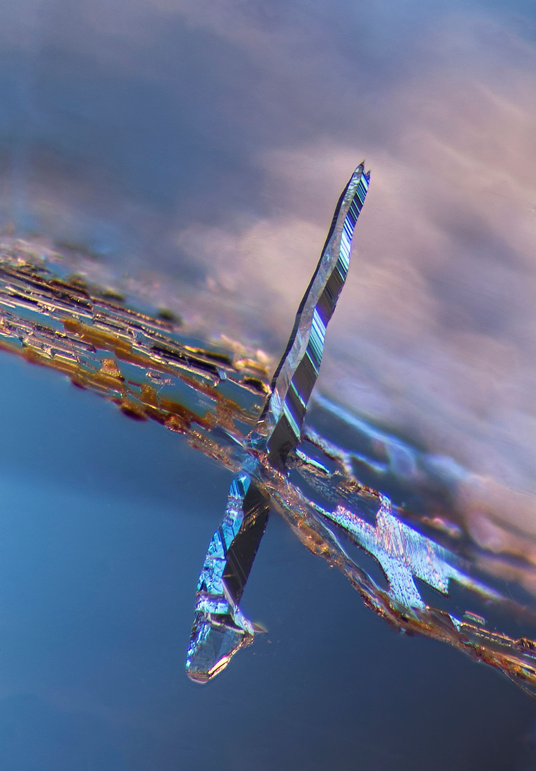 P06 - ' 'Scuse Me While I Pierce The Sky' - sapphire (c) E. Billie Hughes - Lotus Gemology