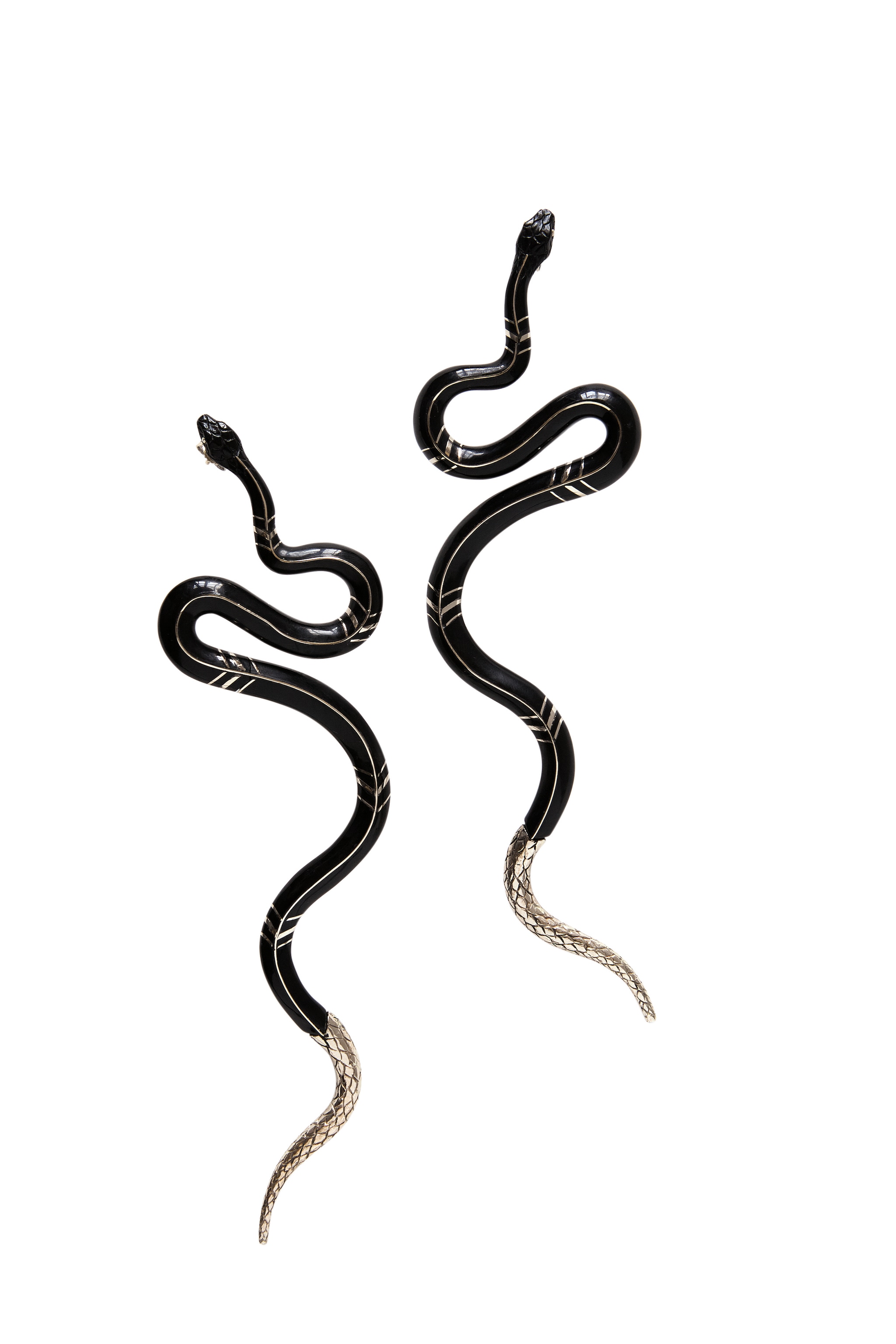 Vestigia Naturae - Lampropeltis Getula Californiae - ©Benoît Peverelli