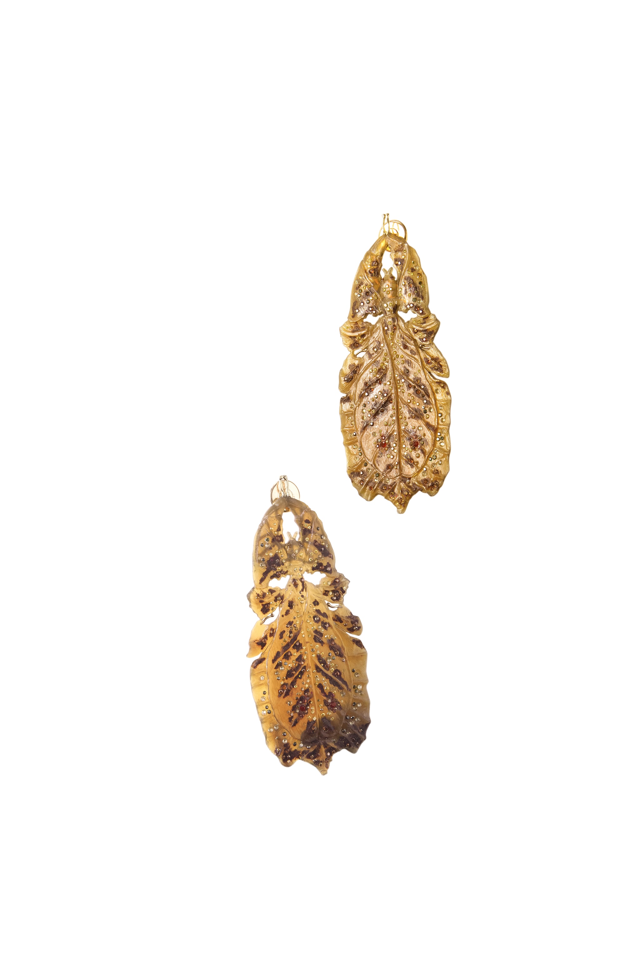 Vestigia Naturae - Phylliidae - ©Benoît Peverelli