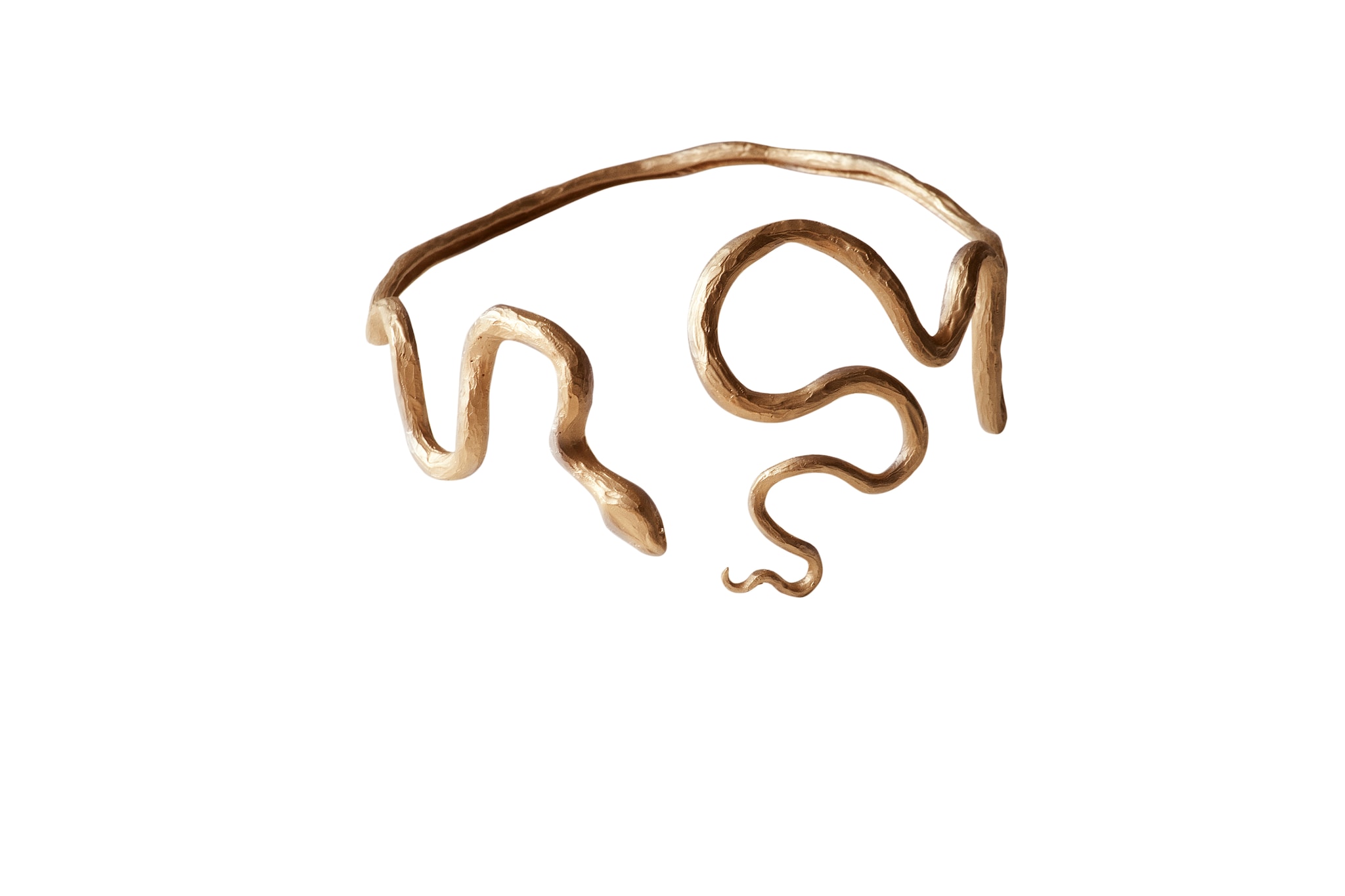 Vestigia Naturae - Serpentes - ©atelier Franck Durand