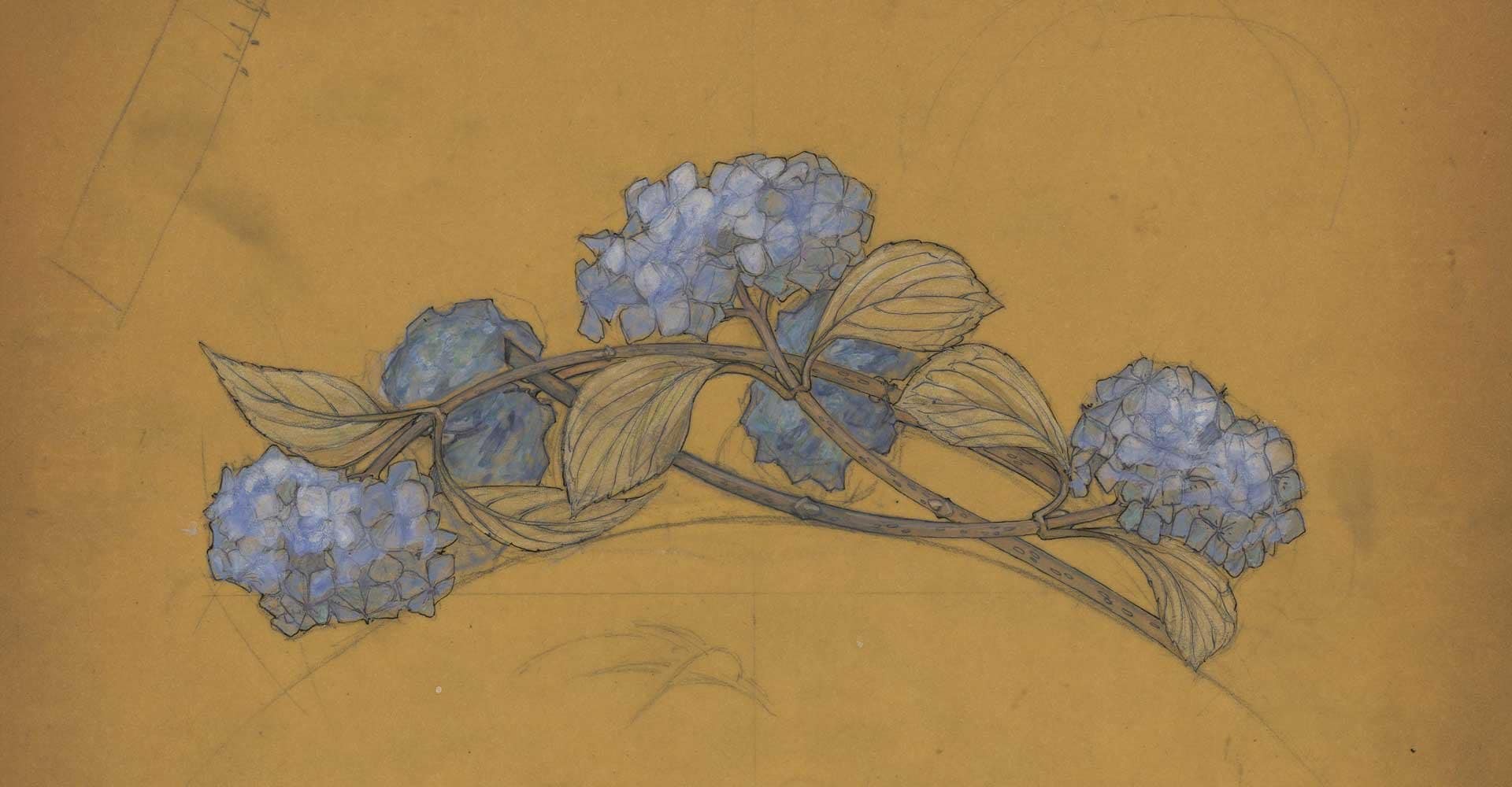 René Lalique (1860-1945) « Hortensias »