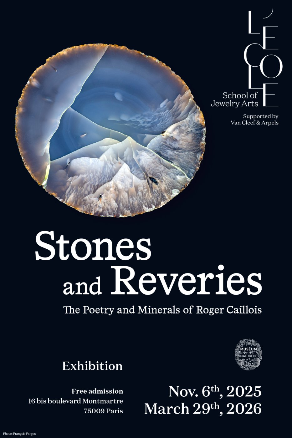 Key visual of the exhibition showing an Agate, likely from Rio Grande