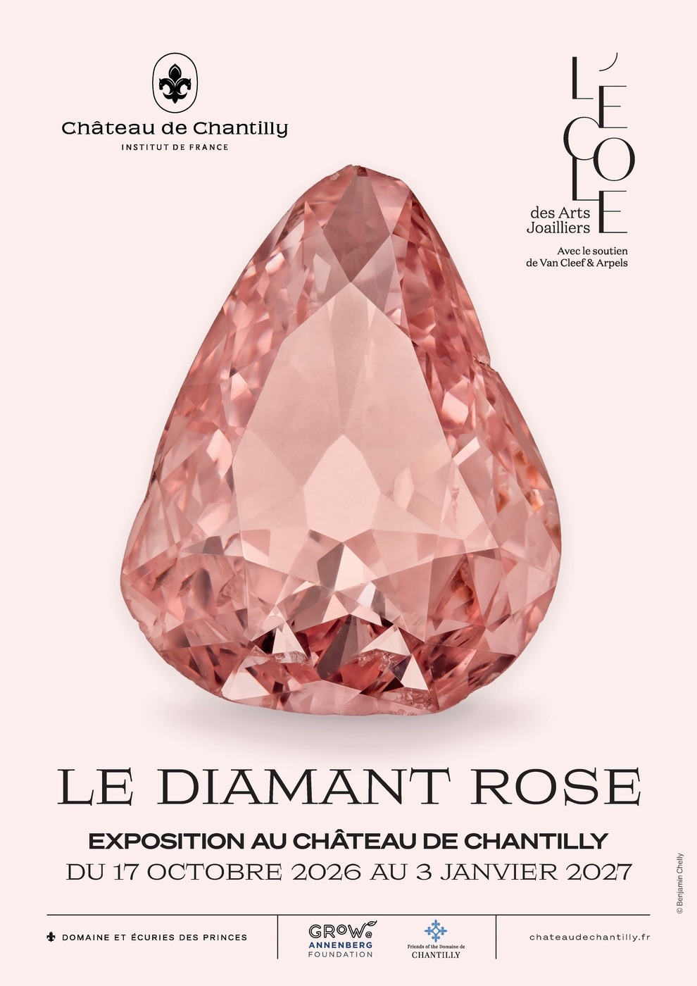 Poster the Pink Diamond