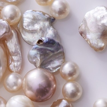 L'ÉCOLE - Pearl, History, Science and Legends_BD (24)