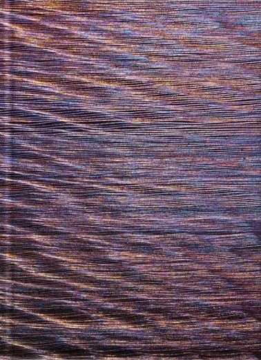 Thinking about Monet couverture