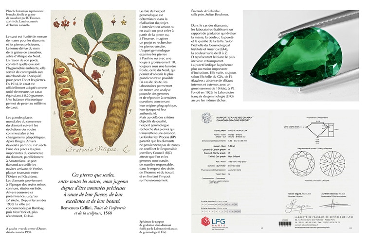 Les Arts joailliers. Métiers d’excellence