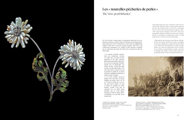 Paris, city of pearls extract