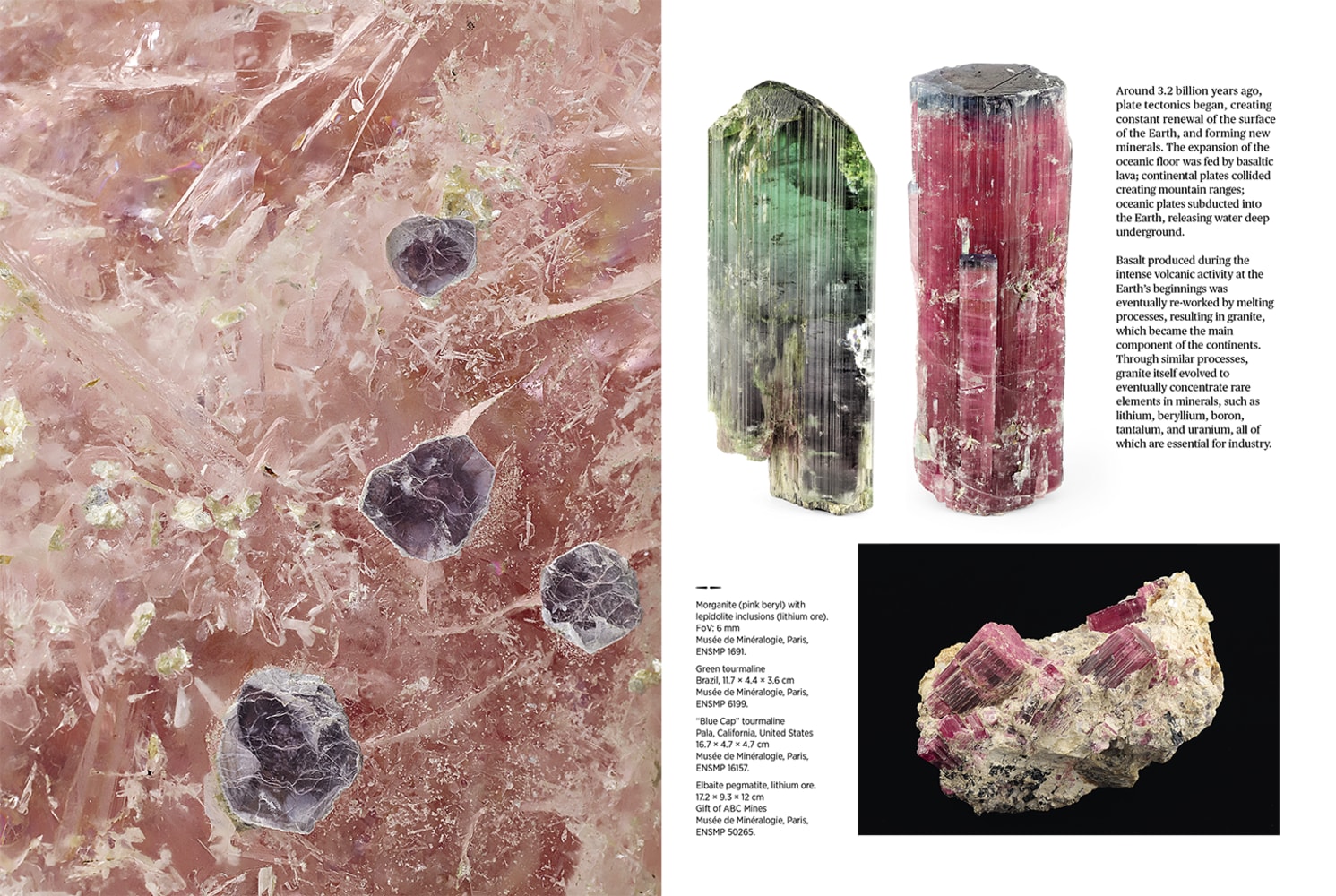 The Musée de Minéralogie of the École des Mines de Paris