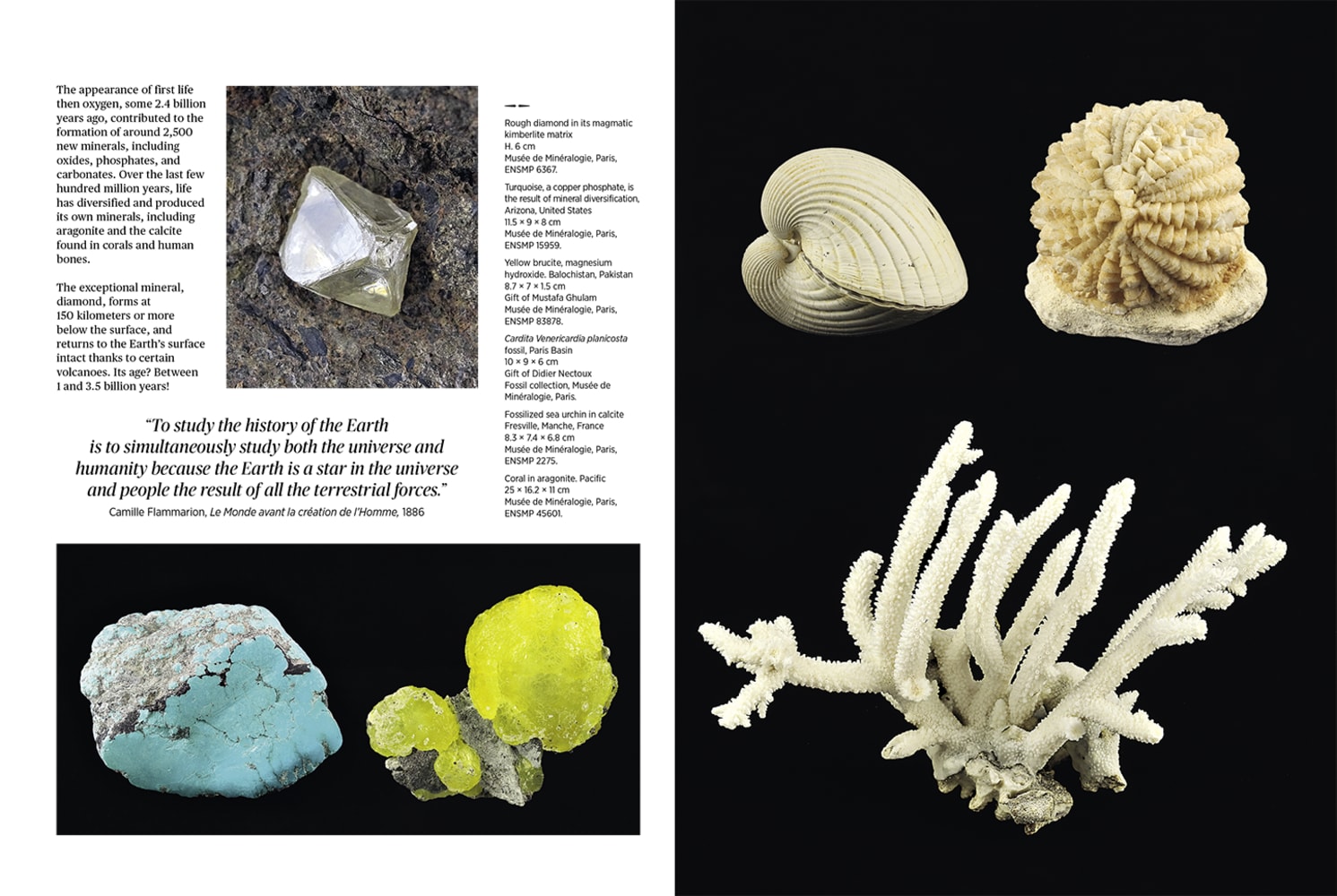 The Musée de Minéralogie of the École des Mines de Paris