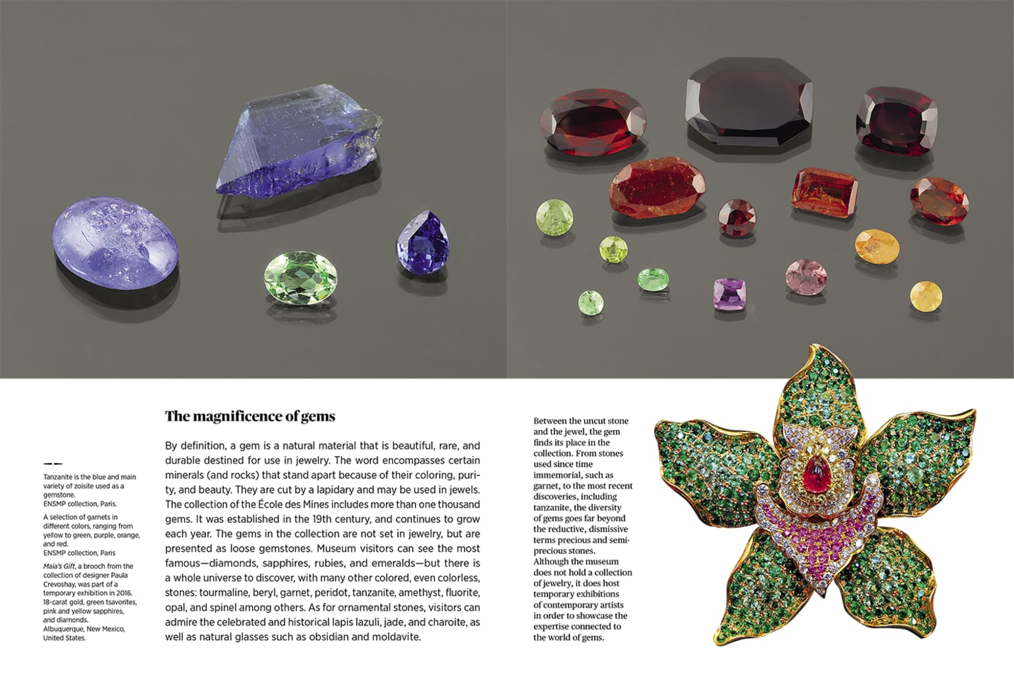 The Musée de Minéralogie of the École des Mines de Paris