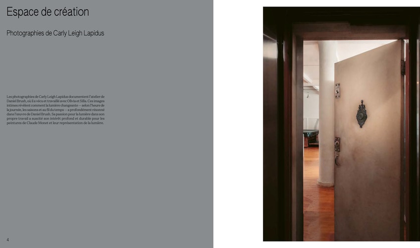 Book Daniel Brush, The Art of Line and Light 