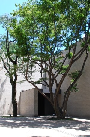 Ecole Tokyo