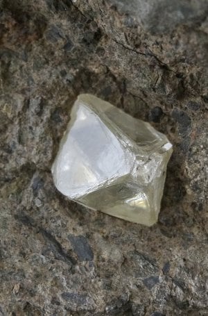 Diamant brut sur kimberlite du musée des Mines Paris-PSL © Musée de Minéralogie MINES Paris-PSL, E. Gaillou  (2).jpg