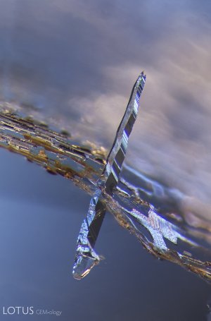 Photo - E. Billie Hughes - Lotus Gemology - A-001-6390