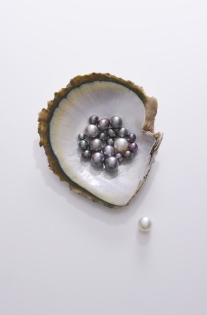 L'ÉCOLE - Pearl, History, Science and Legends (1).jpg