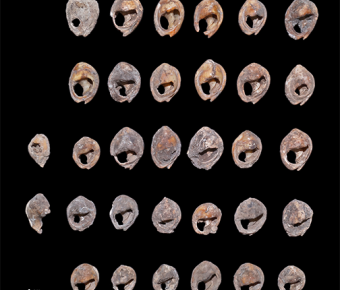 Bizmoune Cave shell beads, Essaouira (Morocco)