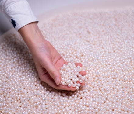 Visitors in the exhibition "Paris, City of Pearls"