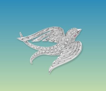 Poetry of Birds