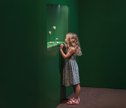 Children's Story Writing Competition