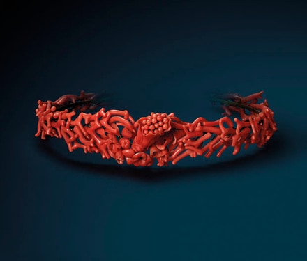 Exhibition "Precious Coral, from Curiosity to Treasures"