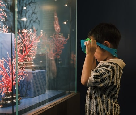 Kids Experience