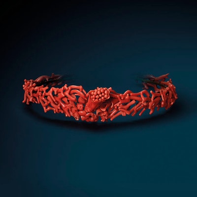 Exhibition "Precious Coral, from Curiosity to Treasures"