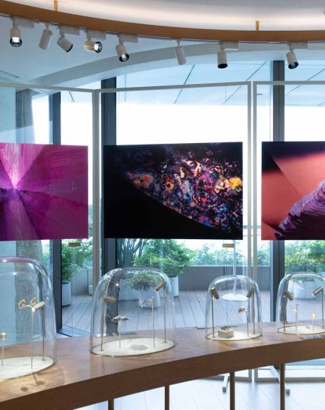 Exhibition Ruby&Sapphire (3)