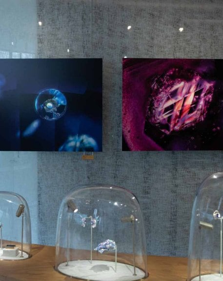 Exhibition Ruby&Sapphire (4)