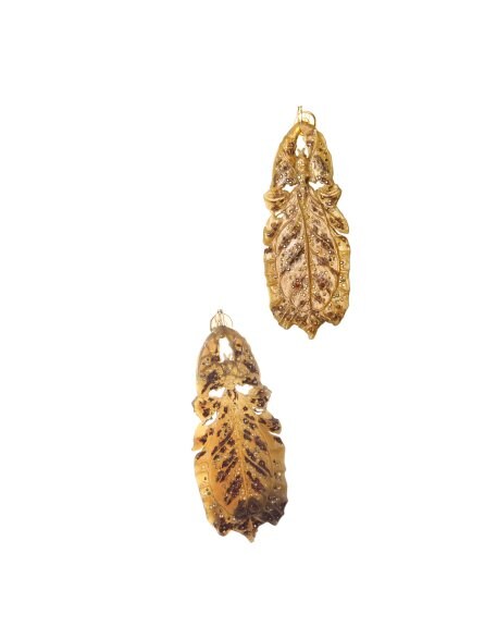 Vestigia Naturae - Phylliidae - ©Benoît Peverelli