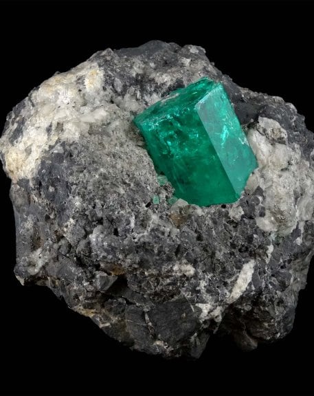Beryl (emerald) on blackshale Muzo, Boyaca Colombia - Ecole Nationale Supérieure des Mines de Paris (6334)