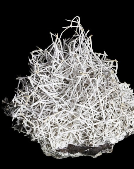 Aragonite from Eisenerz, Styria, Austria. (ENSMP 6298). Photo Eloïse Gaillou © Collection of the Mineralogy Museum