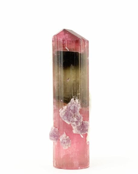 Tourmaline from Mesa Grande - San Diego (California, USA) (ENSMP 5515). Photo Eloïse Gaillou © Collection du musée de Minéralogie Mines Paris - PSL