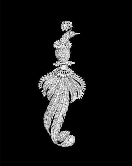 Cartier_Bird Clip_1948_fond noir