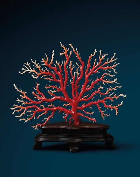 Polished Coral Branch, ChiiLih Coral Museum
