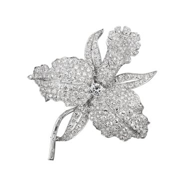 OrchidClip