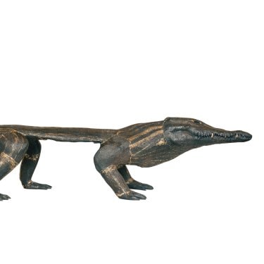 Vestigia Naturae - Sobek - ©Romain Laprade_Compressé