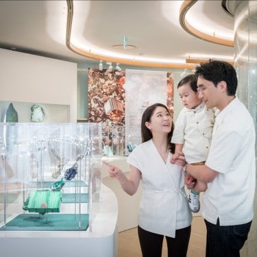 Journey with Minerals, Family Campaign, L'ECOLE Asia Pacific, School of Jewelry Arts in Hong Kong