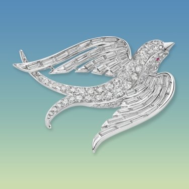 Poetry of birds