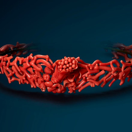 EAJ-Expo_Corail-Declinaisons_digitales