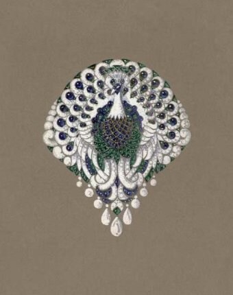 Leon Hatot peacock drawing - 1920 1000