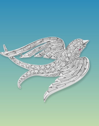 Poetry of Birds