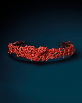Exhibition "Precious Coral, from Curiosity to Treasures"