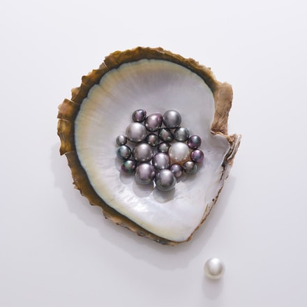 L'ÉCOLE - Pearl, History, Science and Legends (1).jpg