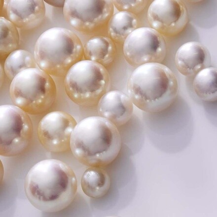 L'ÉCOLE - Pearl, History, Science and Legends