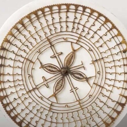 Oceanic Shells- The Kapkap