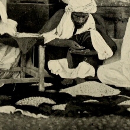 [Video] Pearl Merchants : the forgotten history of a trade between the Gulf and France