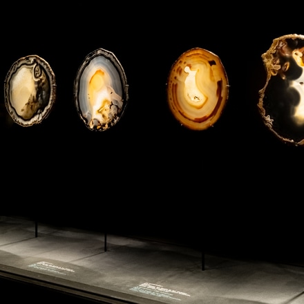 Exhibition "Stones and Reveries: Poetry and Minerals of Roger Caillois".