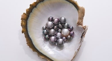 Pearls: History, Science and Legends